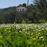 Haus Mit Pool Im Olivenhain * Koróni