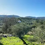 Haus Mit Pool Im Olivenhain * Koróni