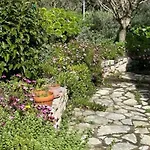 Haus Mit Pool Im Olivenhain Koróni