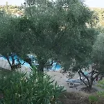 Haus Mit Pool Im Olivenhain Apartman