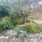 Haus Mit Pool Im Olivenhain Koróni