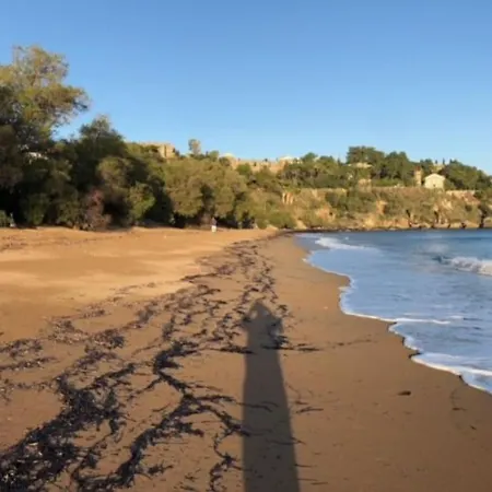 Haus Mit Pool Im Olivenhain Apartment *