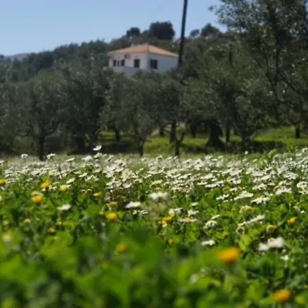 Haus Mit Pool Im Olivenhain * Koroni (Messinia)