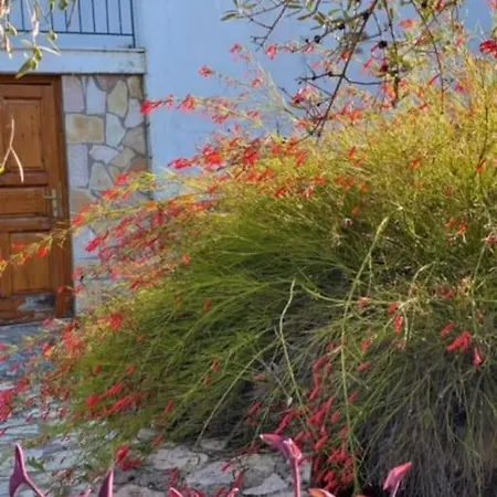 Haus Mit Pool Im Olivenhain Apartment Koroni (Messinia)