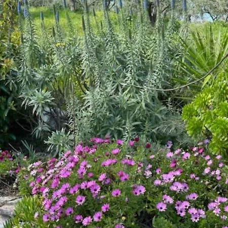 Haus Mit Pool Im Olivenhain Koroni (Messinia)