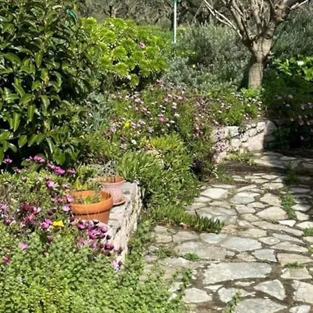 Haus Mit Pool Im Olivenhain Koroni (Messinia)