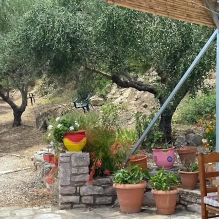 Apartment Haus Mit Pool Im Olivenhain