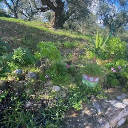 Haus Mit Pool Im Olivenhain Apartment *