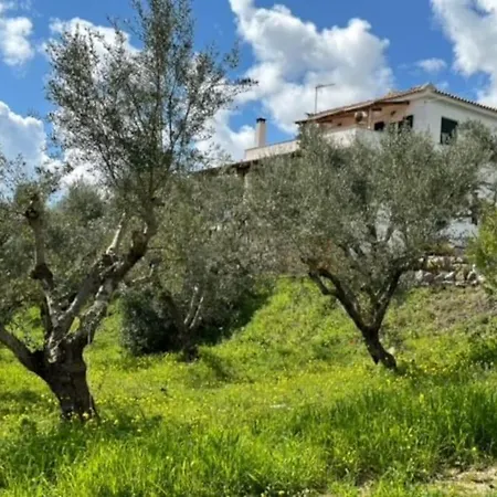 Haus Mit Pool Im Olivenhain Apartment Koroni (Messinia)