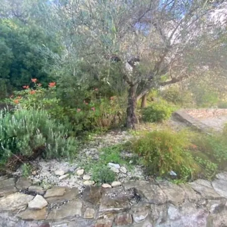 Haus Mit Pool Im Olivenhain Koroni (Messinia)