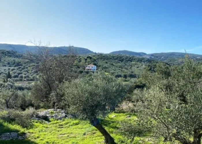 Haus Mit Pool Im Olivenhain * Koróni