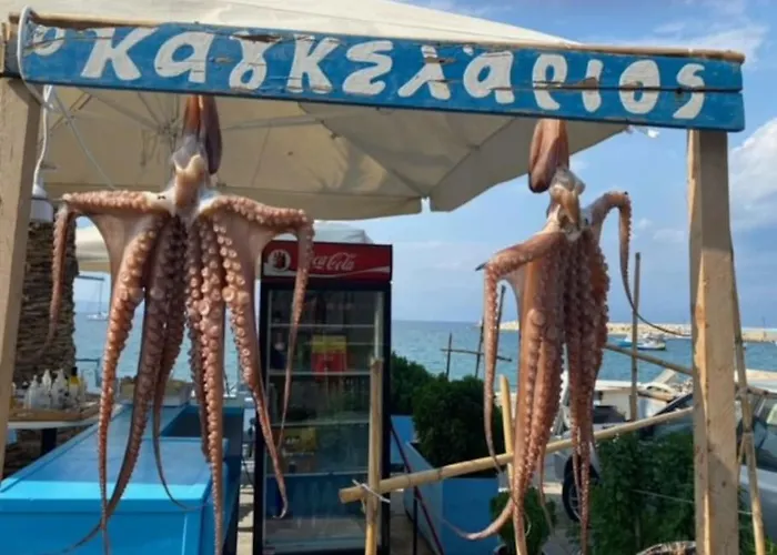 Haus Mit Pool Im Olivenhain