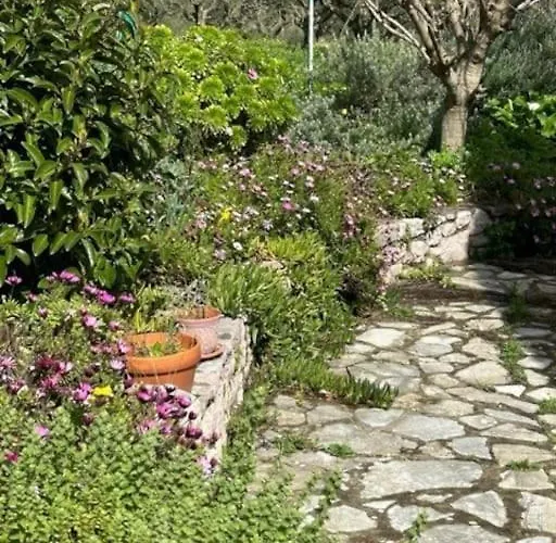 Haus Mit Pool Im Olivenhain Koróni