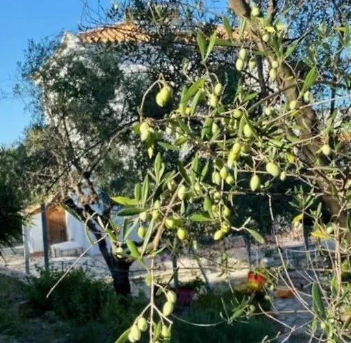 Haus Mit Pool Im Olivenhain * Koróni