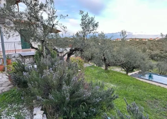 Haus Mit Pool Im Olivenhain Appartement