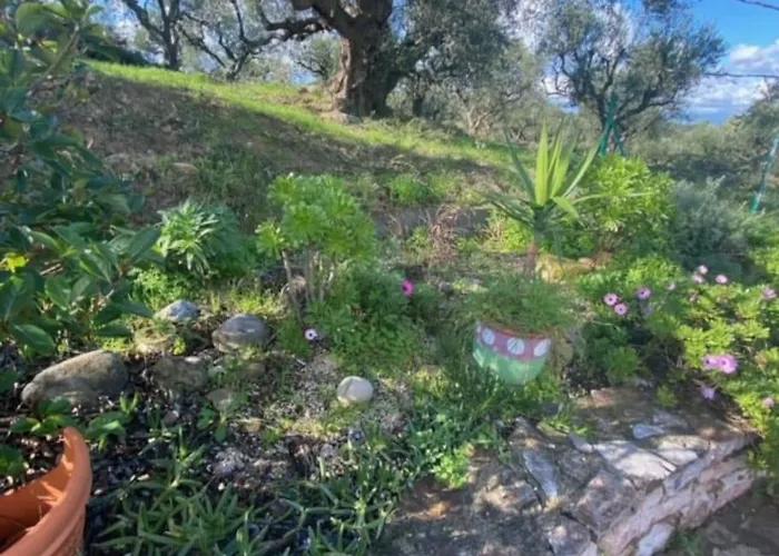 Haus Mit Pool Im Olivenhain Appartement *