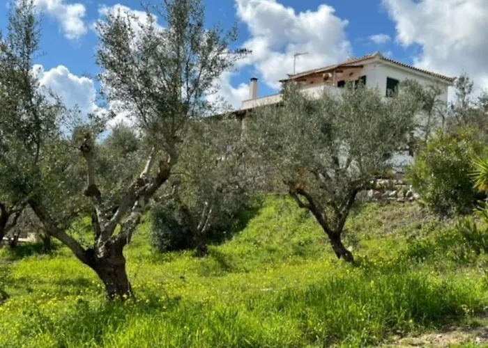 Haus Mit Pool Im Olivenhain شقة Koróni