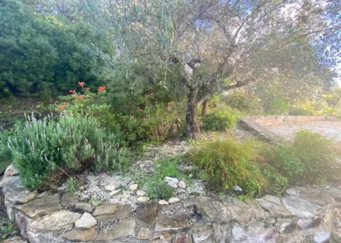 Haus Mit Pool Im Olivenhain Koróni